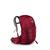 Osprey | Osprey Talon 22 Backpack, 颜色Cosmic Red