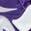 商品NIKE |  Zoom Freak 3 TB 耐磨透气 低帮篮球鞋 多款配色 DM7378-401颜色Field Purple/ White