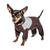颜色: Brown, Dog Helios | 'Tail Runner' Lightweight Full Body Performance Dog Track Suit