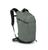 Osprey | Osprey Sportlite 20 Hiking Backpack - Prior Season, 颜色Pine Leaf Green