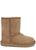 color BROWN, UGG | KIDS Classic II black suede ankle boots (IT25-IT30)