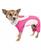 颜色: Pink, Pet Life | Active 'Warm-Pup' Performance Two Toned Full Body Warm Up