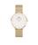color Gold/White, Daniel Wellington | 36 mm Petite Evergold Mesh Watch