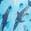 商品第4个颜色Blue Shark Print, Harper Canyon | Surfer Slip-On Sneaker