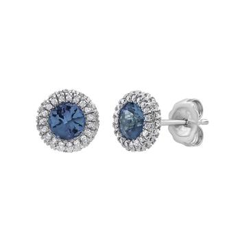 商品Diamond Muse 0.25 cttw 14KT White Gold Tanzanite Gemstone Round Cut Diamond Stud Earrings for Women图片
