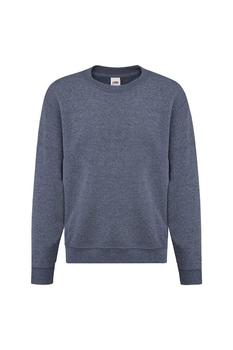 推荐Fruit Of The Loom Childrens Big Boys Set in Sleeve Sweatshirt (Heather Navy)商品