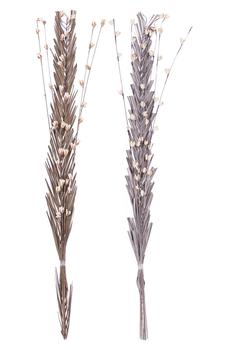 推荐Natural Plant Bouquets - Set of 2商品