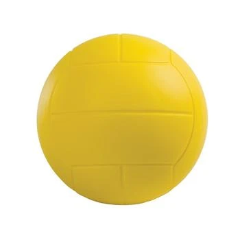 Champion Sports | Coated Hi Density Volleyball,商家Macy's,价格¥171