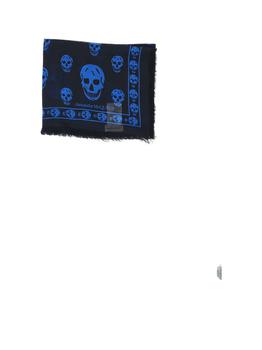 商品Alexander McQueen | ALEXANDER MCQUEEN SCARVES,商家Baltini,价格¥1564图片