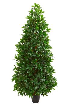 商品Bay Leaf Cone Topiary 5ft. Artificial Plant图片