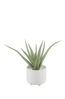 商品FLORA BUNDA | 10" Aloe in 5"  Barcode Footed Ceramic,商家Nordstrom Rack,价格¥267图片