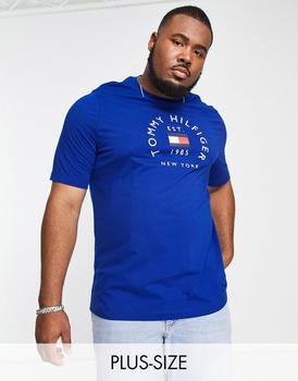 Tommy Hilfiger | Tommy Hilfiger Big & Tall flag arch logo cotton t-shirt in mid blue商品图片,