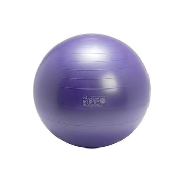 商品Gymnic | Exercise Ball Plus 65,商家Macy's,价格¥482图片