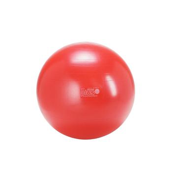 商品Exercise Ball Plus 55图片