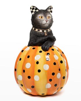 推荐Alley Cat Pumpkin商品
