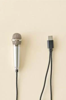 Urban Outfitters | Mini Plug-In Microphone,商家Urban Outfitters,价格¥89