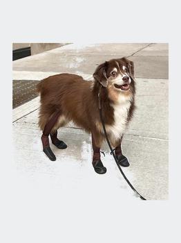 紧身裤男, Walkee Paws | New Easy-On Boot Leggings商品图片 