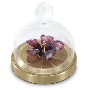 Swarovski | Swarovski Garden Tales Figurine,商家Ashford,价格¥341