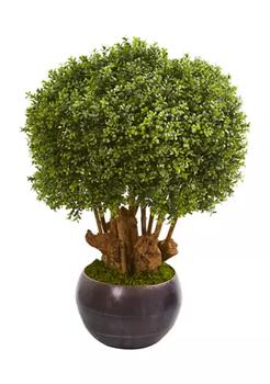 NEARLY NATURAL, NEARLY NATURAL | Boxwood Topiary Tree in Decorative Bowl Indoor/Outdoor商品图片 