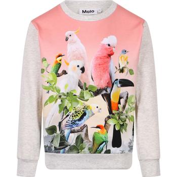 推荐Tropical birds organic sweatshirt in grey商品
