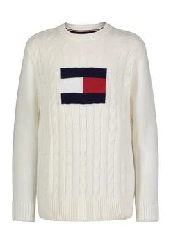 Tommy Hilfiger | Boys 8-20 Flag Crew Neck Sweater,商家Belk,价格¥200