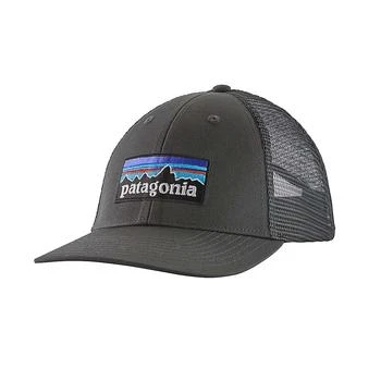 推荐Patagonia P-6 Logo LoPro Trucker Hat商品