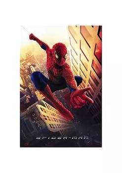 Crossover Culture, Pop Culture Graphics | Pop Culture Graphics MOVAD1790 Spider-Man Movie Poster, 11 x 17商品图片 