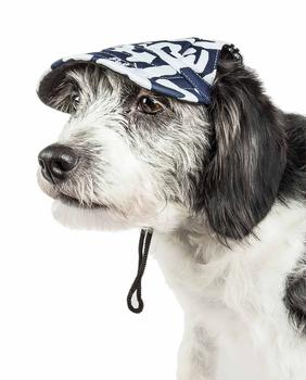 商品Pet Life | Pet Life   'Bone Cappa' Graffiti Sculptured Uv Protectant Adjustable Fashion Dog Hat Cap,商家Premium Outlets,价格¥83图片