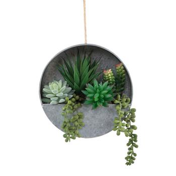 商品Succulent in Hanging Galvanized Tin Wall Planter, 8"图片