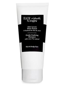 Sisley | Hair Rituel Gentle Purifying Shampoo商品图片,