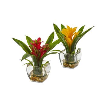 商品NEARLY NATURAL | 2-Pc. Bromeliad Set with Glass Vases,商家Macy's,价格¥673图片
