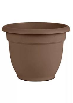 商品Bloem | Bloem (#20-56312CH) Ariana Planter with Self-Watering Disk, Chocolate - 12",商家Belk,价格¥185图片