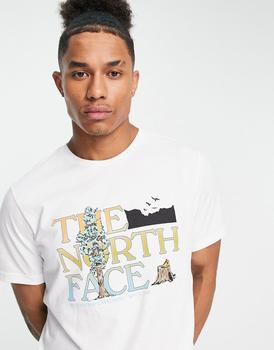 The North Face | The North Face chest graphic t-shirt in white商品图片,