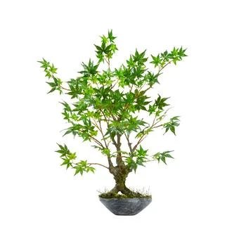 NEARLY NATURAL | 30" Maple Bonsai Artificial Tree in Planter,商家Macy's,价格¥1175