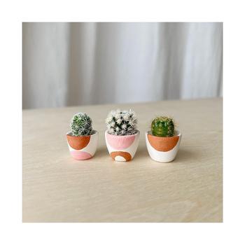 商品Tierra Sol Studio | Sonora Mini Cactus Collection,商家Macy's,价格¥390图片