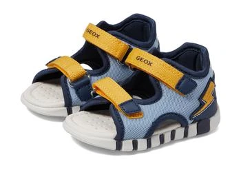 Geox | Sandals Lupidoo 5 (Infant/Toddler/Little Kid),商家Zappos,价格¥447