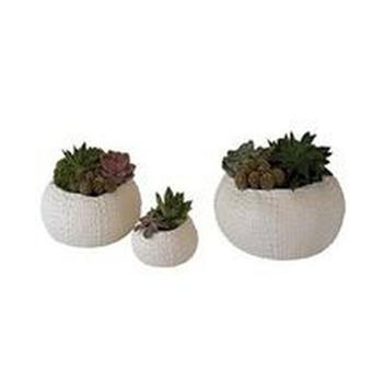 商品Global Views | Ceramic Urchin Bowl Small,商家Macy's,价格¥630图片