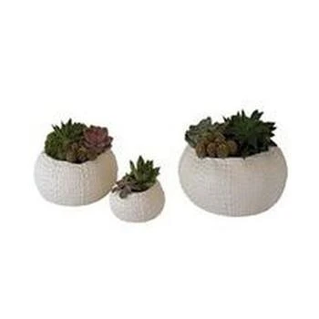 Global Views | Ceramic Urchin Bowl Small,商家Macy's,价格¥644