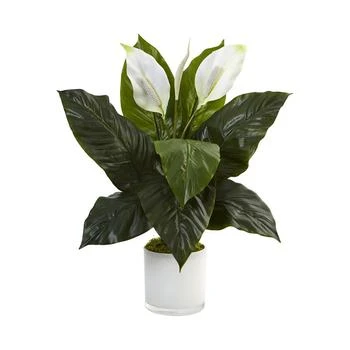 NEARLY NATURAL | Spathiphyllum Flowering Peace Lily Artificial  Plant in Glossy Glass Planter,商家Macy's,价格¥759
