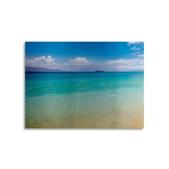 推荐Pierre Leclerc Blue Beach Maui Floating Brushed Aluminum Art - 22" x 25"商品