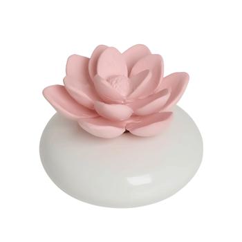 推荐Oval Succulent Oil Diffuser Kit商品