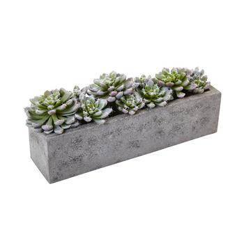商品Succulent Garden w/Textured Concrete Planter图片