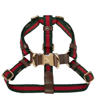 推荐Web stripe faux leather dog harness商品
