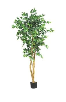 NEARLY NATURAL | 5ft. Ficus Tree,商家Nordstrom Rack,价格¥716