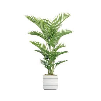 商品69" Real Touch Palm Tree in Fiberstone Planter图片