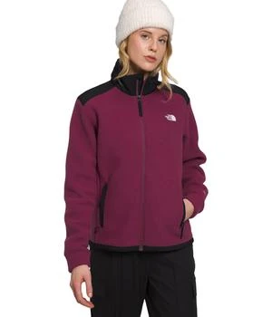 The North Face | Alpine Polartec® 200 Full Zip Jacket 6.2折起