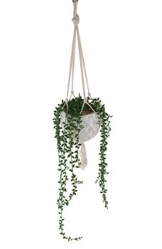 FLORA BUNDA | String Of Pearls Artificial Macramé Hanging Planter,商家Nordstrom Rack,价格¥209