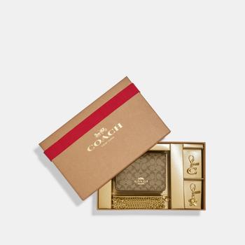 商品Coach | Coach Outlet Boxed Mini Wallet On A Chain In Signature Canvas,商家Premium Outlets,价格¥515图片