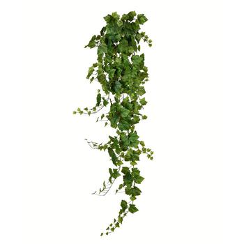 商品Vickerman | 6' Artificial Grape Leaf Ivy Hanging Bush,商家Macy's,价格¥310图片