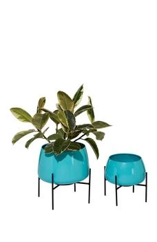 GINGER BIRCH STUDIO | Teal Metal Modern Planter with Removable Stand - Set of 2,商家Nordstrom Rack,价格¥486